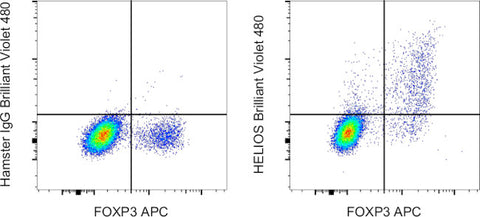 HELIOS Monoclonal Antibody (22F6), Brilliant Violet 480, eBioscience