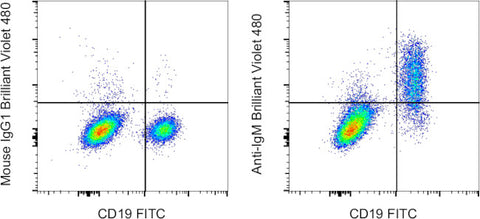 IgM Monoclonal Antibody (SA-DA4), Brilliant Violet™ 480