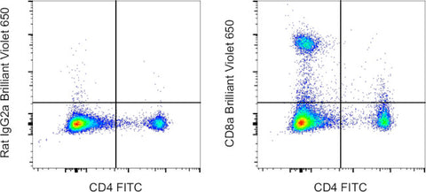 CD8a Monoclonal Antibody (53-6.7), Brilliant Violet 650, eBioscience