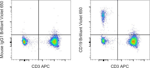 CD19 Monoclonal Antibody (SJ25C1), Brilliant Violet 650, eBioscience