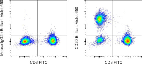 CD20 Monoclonal Antibody (2H7), Brilliant Violet 650, eBioscience