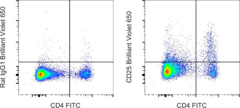 CD25 Monoclonal Antibody (PC61.5), Brilliant Violet 650, eBioscience