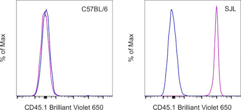CD45.1 Monoclonal Antibody (A20), Brilliant Violet 650, eBioscience