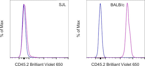 CD45.2 Monoclonal Antibody (104), Brilliant Violet 650, eBioscience