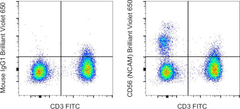 CD56 (NCAM) Monoclonal Antibody (TULY56), Brilliant Violet 650, eBioscience