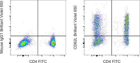 CD62L (L-Selectin) Monoclonal Antibody (DREG-56 (DREG56)), Brilliant Violet™ 650