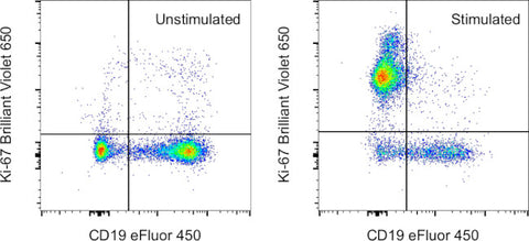Ki-67 Monoclonal Antibody (SolA15), Brilliant Violet 650, eBioscience