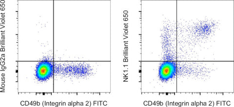 NK1.1 Monoclonal Antibody (PK136), Brilliant Violet 650, eBioscience
