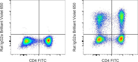 IL-17A Monoclonal Antibody (eBio17B7), Brilliant Violet 650, eBioscience