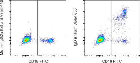 IgD Monoclonal Antibody (IA6-2), Brilliant Violet™ 650