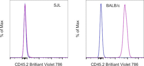 CD45.2 Monoclonal Antibody (104), Brilliant Violet 786, eBioscience