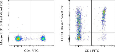 CD62L (L-Selectin) Monoclonal Antibody (DREG-56 (DREG56)), Brilliant Violet 786, eBioscience