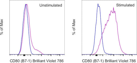 CD80 (B7-1) Monoclonal Antibody (16-10A1), Brilliant Violet 786, eBioscience
