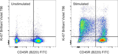 Ki-67 Monoclonal Antibody (SolA15), Brilliant Violet 786, eBioscience