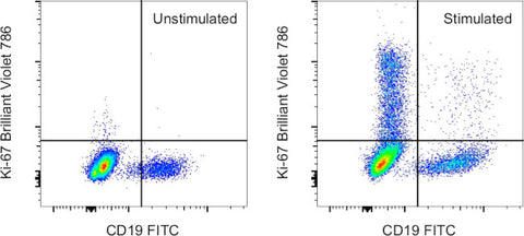 Ki-67 Monoclonal Antibody (20Raj1), Brilliant Violet 786, eBioscience