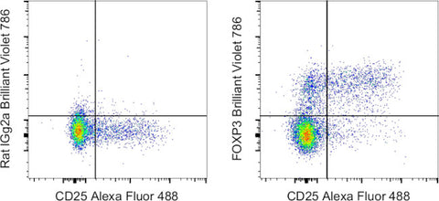 FOXP3 Monoclonal Antibody (FJK-16s), Brilliant Violet 786, eBioscience