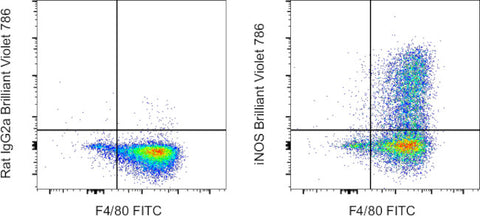 iNOS Monoclonal Antibody (CXNFT), Brilliant Violet 786, eBioscience