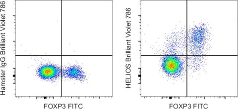 HELIOS Monoclonal Antibody (22F6), Brilliant Violet 786, eBioscience