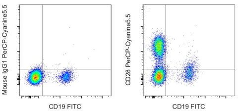 CD28 Monoclonal Antibody (CD28.2), PerCP-Cyanine5.5, eBioscience