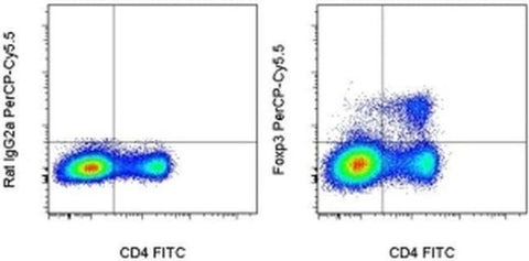 FOXP3 Monoclonal Antibody (FJK-16s), PerCP-Cyanine5.5, eBioscience