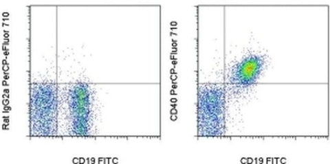 CD40 Monoclonal Antibody (1C10), PerCP-eFluor 710, eBioscience