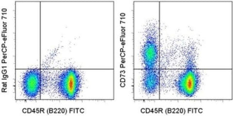 CD73 Monoclonal Antibody (eBioTY/11.8 (TY/11.8)), PerCP-eFluor 710, eBioscience