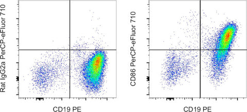 CD86 (B7-2) Monoclonal Antibody (GL1), PerCP-eFluor 710, eBioscience