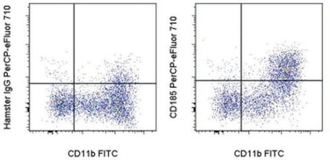 CD195 (CCR5) Monoclonal Antibody (HM-CCR5 (7A4)), PerCP-eFluor 710, eBioscience