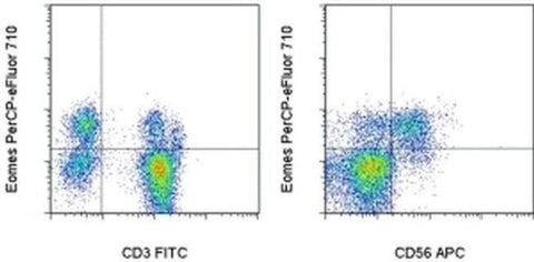 EOMES Monoclonal Antibody (WD1928), PerCP-eFluor 710, eBioscience