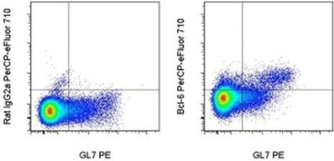 BCL6 Monoclonal Antibody (BCL-DWN), PerCP-eFluor 710, eBioscience