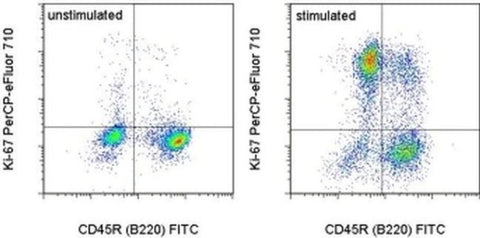 Ki-67 Monoclonal Antibody (SolA15), PerCP-eFluor 710, eBioscience
