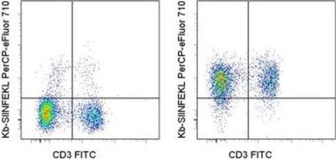 OVA257-264 (SIINFEKL) peptide bound to H-2Kb Monoclonal Antibody (eBio25-D1.16 (25-D1.16)), PerCP-eFluor 710, eBioscience