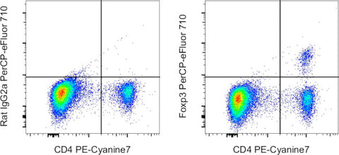 FOXP3 Monoclonal Antibody (FJK-16s), PerCP-eFluor 710, eBioscience