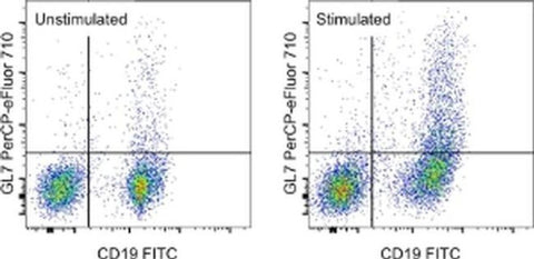 GL7 Monoclonal Antibody (GL-7 (GL7)), PerCP-eFluor 710, eBioscience