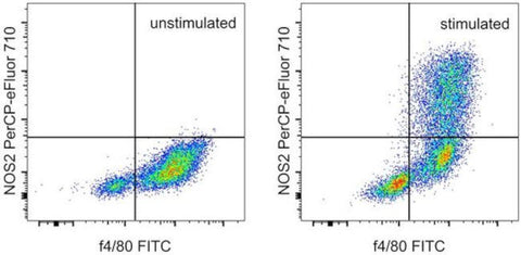 iNOS Monoclonal Antibody (CXNFT), PerCP-eFluor 710, eBioscience