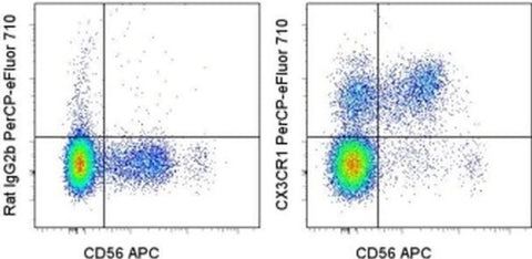 CX3CR1 Monoclonal Antibody (2A9-1), PerCP-eFluor 710, eBioscience