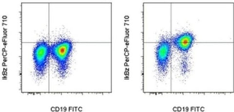 IkB zeta Monoclonal Antibody (LK2NAP), PerCP-eFluor 710, eBioscience