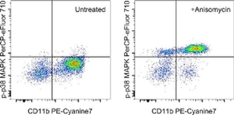 Phospho-p38 MAPK (Thr180, Tyr182) Monoclonal Antibody (4NIT4KK), PerCP-eFluor 710, eBioscience