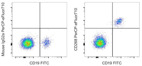 CD268 (BAFF Receptor) Monoclonal Antibody (8A7), PerCP-eFluor 710, eBioscience