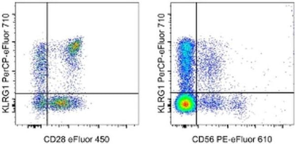 KLRG1 Monoclonal Antibody (13F12F2), PerCP-eFluor 710, eBioscience ...