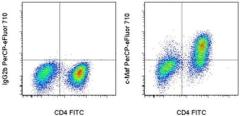 c-MAF Monoclonal Antibody (sym0F1), PerCP-eFluor 710, eBioscience