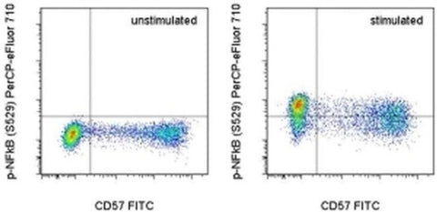 Phospho-NFkB p65 (Ser529) Monoclonal Antibody (B33B4WP), PerCP-eFluor 710, eBioscience