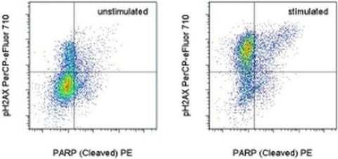 Phospho-Histone H2A.X (Ser139) Monoclonal Antibody (CR55T33), PerCP-eFluor 710, eBioscience