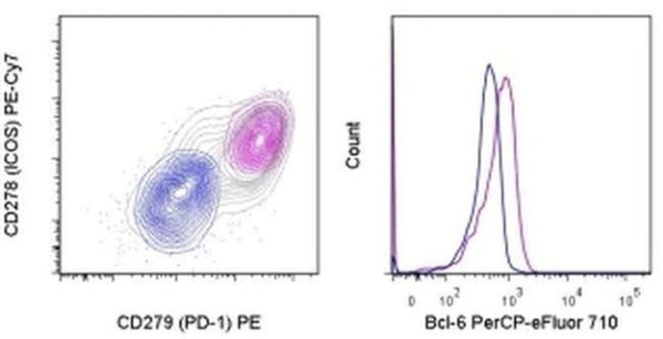 BCL6 Monoclonal Antibody (BCL-UP), PerCP-eFluor 710, eBioscience ...