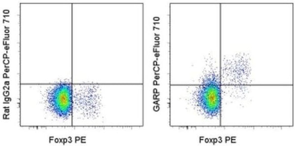 GARP Monoclonal Antibody (YGIC86), PerCP-eFluor 710, eBioscience ...