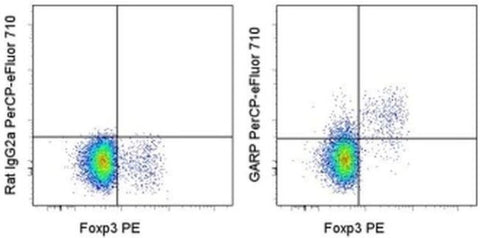 GARP Monoclonal Antibody (YGIC86), PerCP-eFluor 710, eBioscience