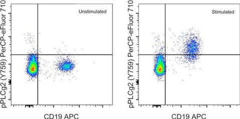 Phospho-PLCG2 (Tyr759) Monoclonal Antibody (4NPRN4), PerCP-eFluor 710, eBioscience