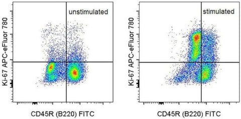 Ki-67 Monoclonal Antibody (SolA15), APC-eFluor 780, eBioscience