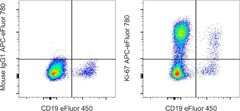 Ki-67 Monoclonal Antibody (20Raj1), APC-eFluor 780, eBioscience