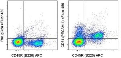 CD31 (PECAM-1) Monoclonal Antibody (390), eFluor 450, eBioscience